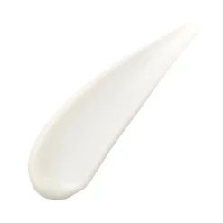 Absolute Silk Fluid
