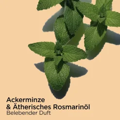 Bain aux Plantes “Tonic” - nachfüllbar