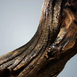 Bottled Eau de Toilette