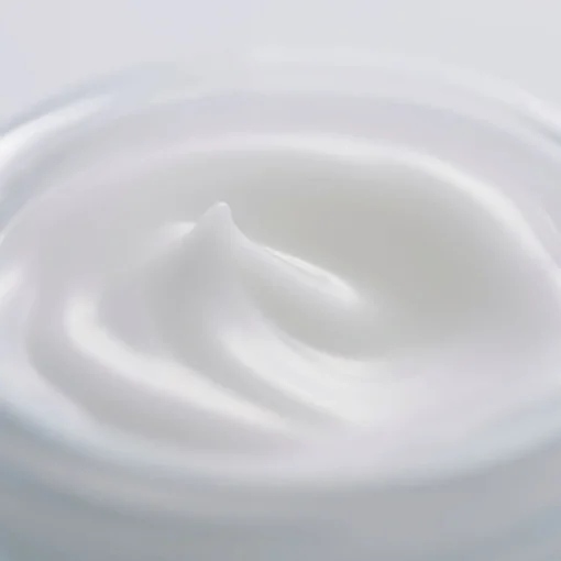 Fresh Cream