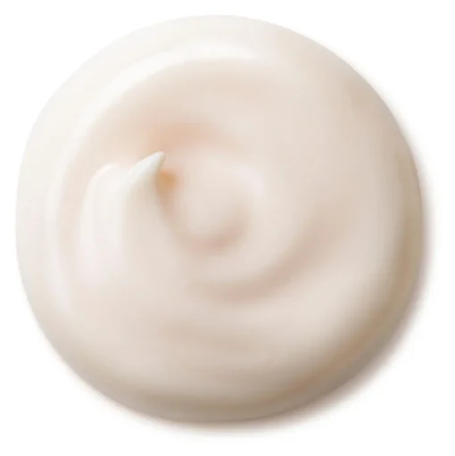 Future Solution LX Total Protective Cream