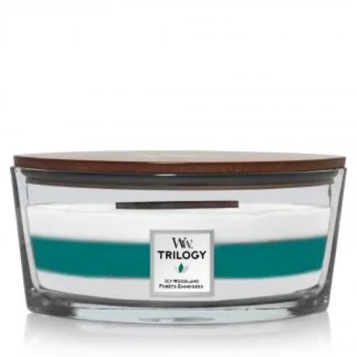 Icy Woodland Ellipse Jar
