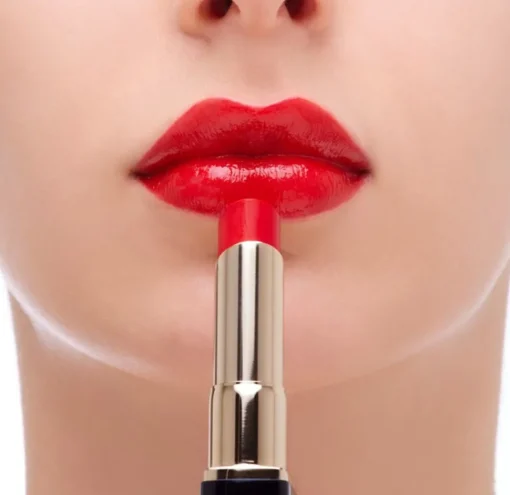 Lasting Plum Lipstick (Refill)