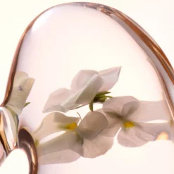 Skin Essentials Softening Perfecting Toner