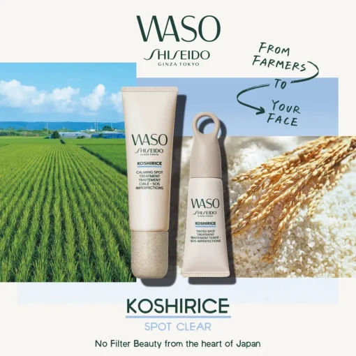 WASO Koshirice Tinted Spot Treatment