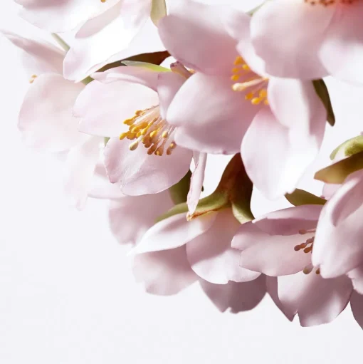 White Lucent Illuminating Micro-Spot Serum